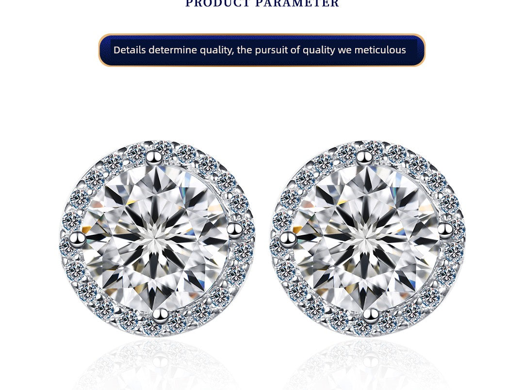Genuine Goods Moissanite Stud Jewelry Earrings for Women Classy round Bag Diamond Earrings Special-Interest Earrings Silver Earrings Bone Nail Birthday Gift - She Vibess By C2P